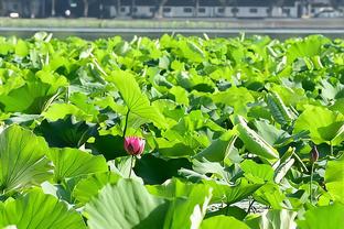 雷霆面对胜率不足五成的球队10胜1负！切特：我们严肃对待每场球